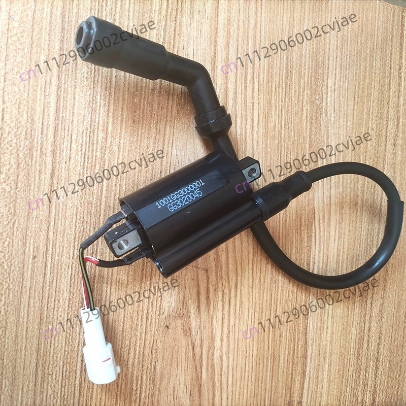 ZT310-V X T R1 2 Pacchetto ad  - Motorcycle Spark Plug recensione e prezzo