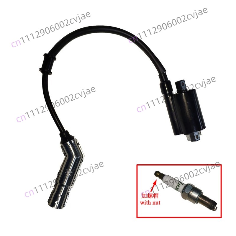 ZT310-V X T R1 2 Pacchetto ad  - Motorcycle Spark Plug recensione e prezzo