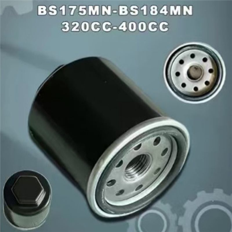 ABRU-320-400CC BS175MN-184MN F - Motorcycle Oil Filter recensione e prezzo